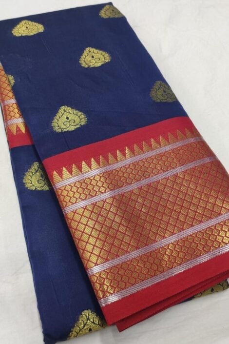 Blue Lichi silk saree with zari motifs enclosed-tt06b