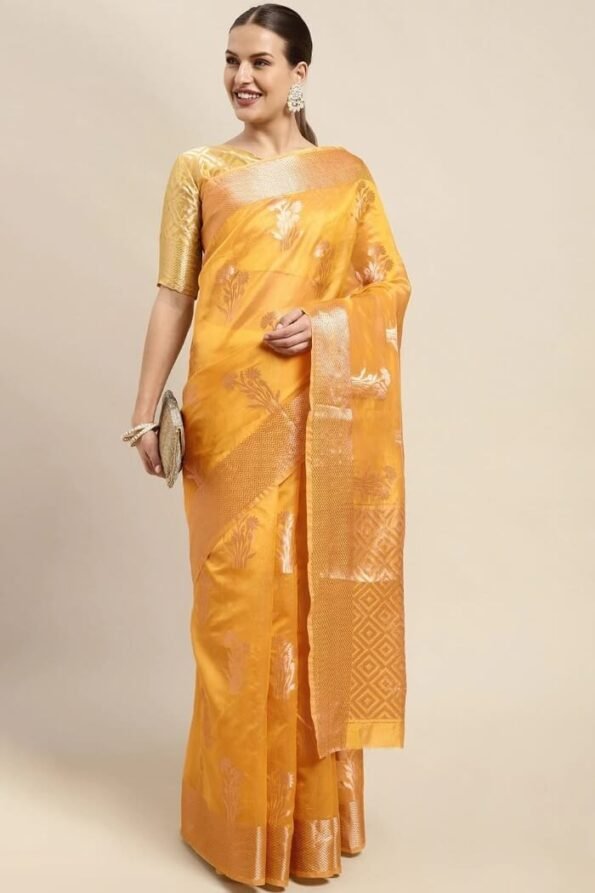 Organza Zari Motif Saree-TT105e