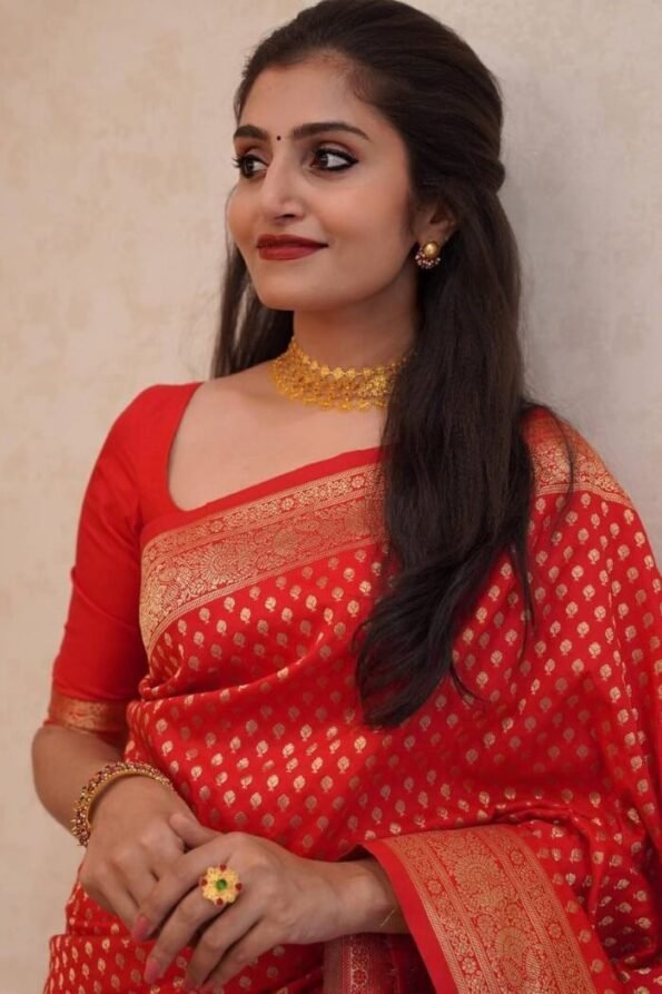 Soft Banarasi Silk Saree in Red Colour-ALNX01d
