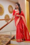 Soft Banarasi Silk Saree in Red Colour-ALNX01c