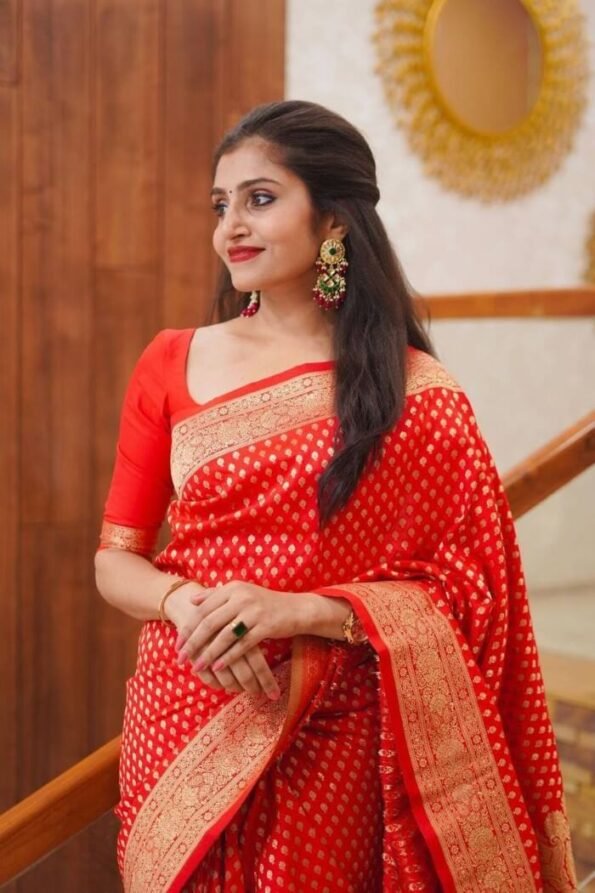 Soft Banarasi Silk Saree in Red Colour-ALNX01g