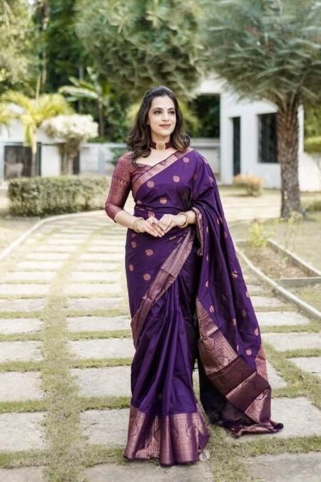 Violet Banarasi Silk Saree in Copper Zari Weaving-ALNX02g