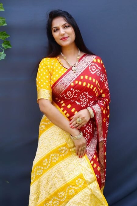 gujarati bandhani blouse pattern-MAI06cb