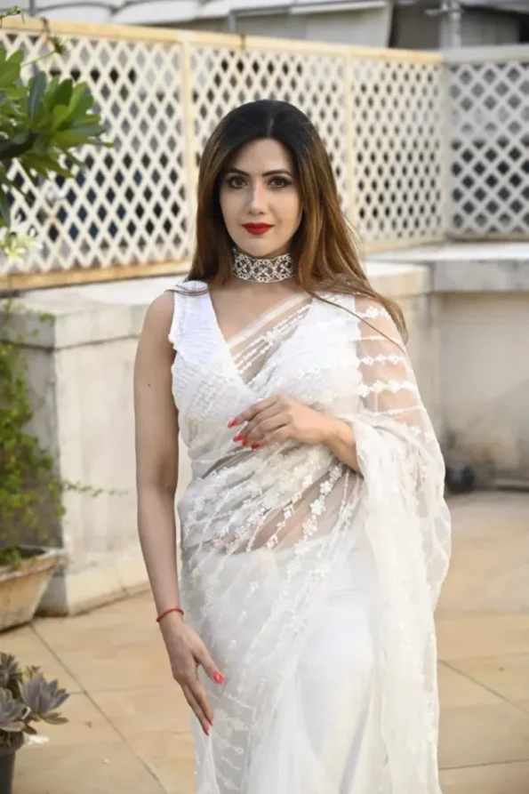 net saree for party-NC5250a