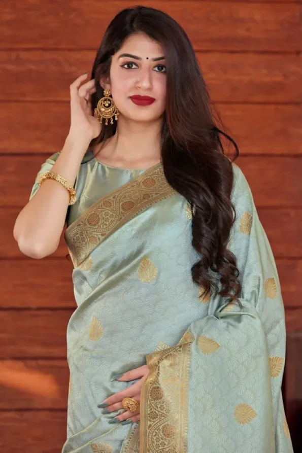 Banarasi soft silk saree (4)