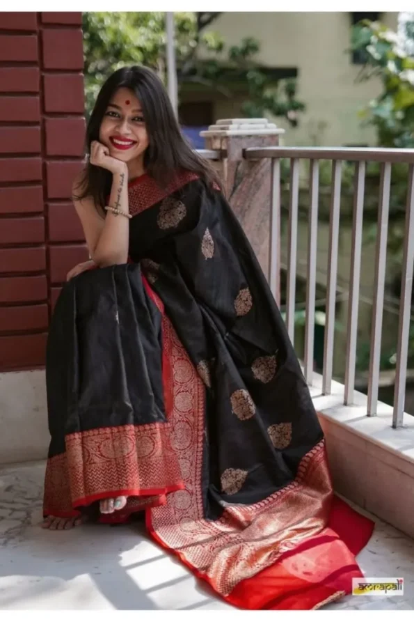 Black banarasi silk saree (1)