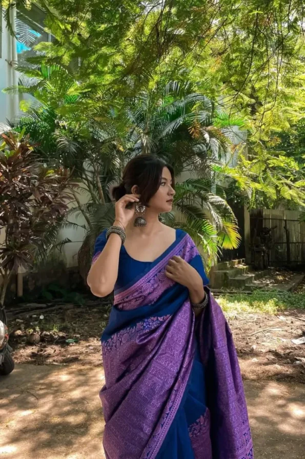 Blue banarasi soft silk saree (1)