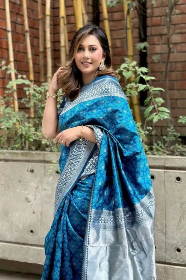 Blue banarasi soft silk saree (3)