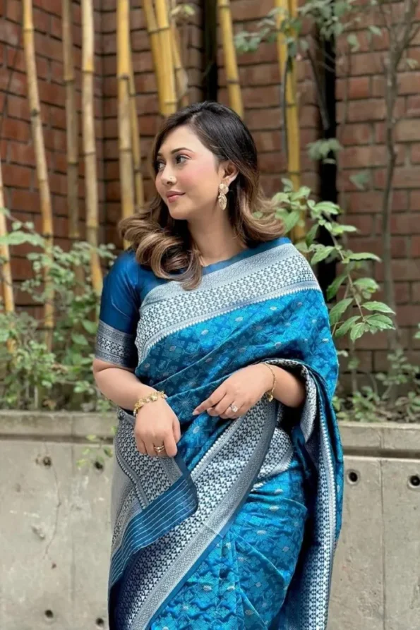 Blue banarasi soft silk saree (4)