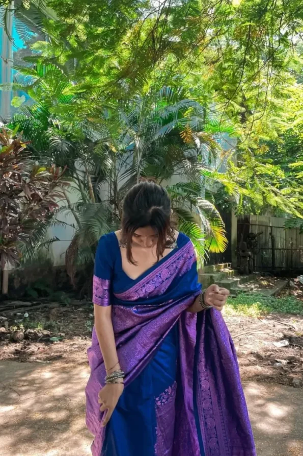 Blue banarasi soft silk saree (4)