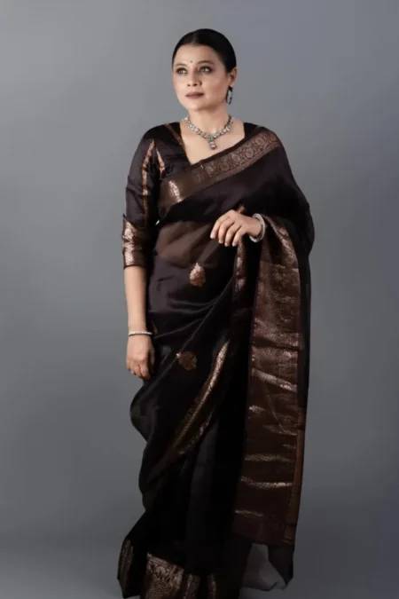 Brown banarasi soft silk saree (2)