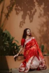 Red georgeous banarasi silk saree (1)