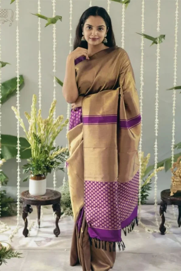 Wine banarasi soft silk saree (1)