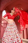 Red dola silk patola print lehenga choli (4)