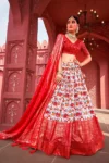 Red dola silk patola print lehenga choli (4)